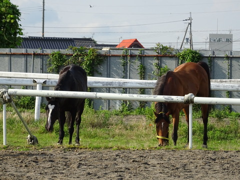 DSC07158