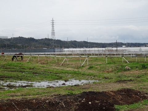 DSC02286