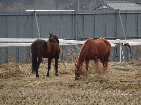 DSC09436