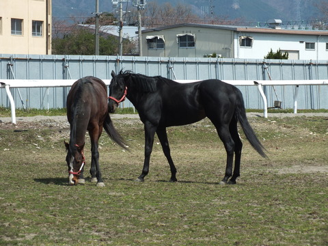 DSCF3414