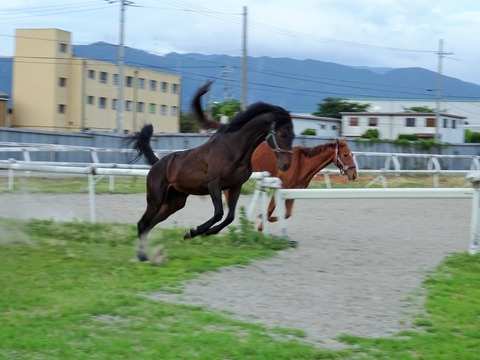 DSC03128