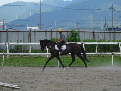 DSC09210