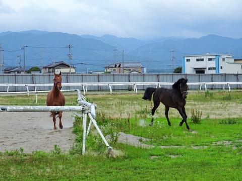 DSC03137