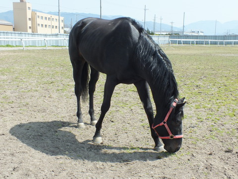 DSCF3403