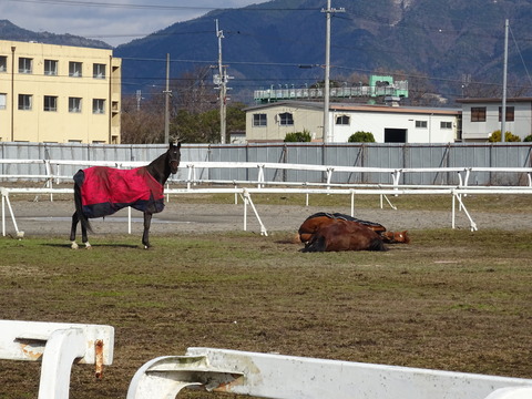 DSC01038