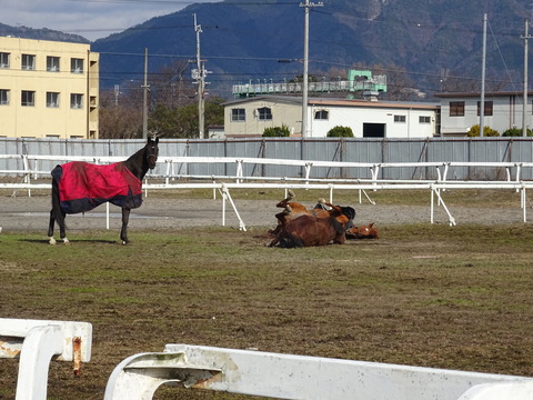 DSC01040