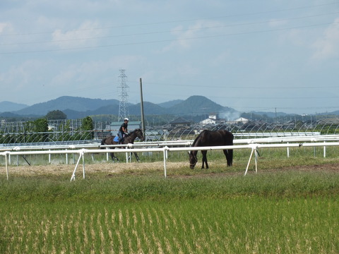 DSCF0386