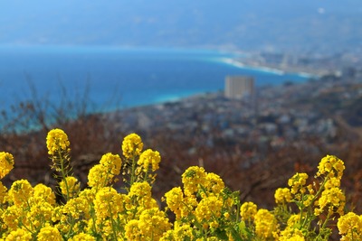 IMG_3789copy