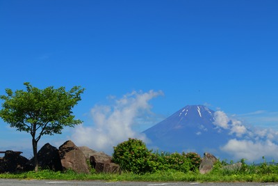 IMG_2077copy