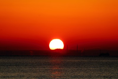 IMG_3462copy