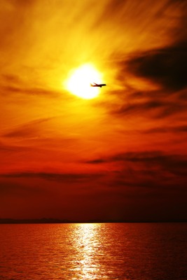 IMG_3319copy