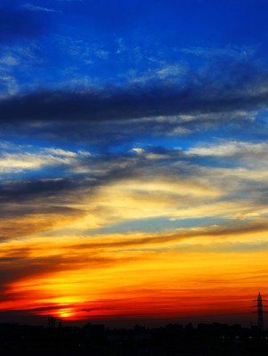 IMG_6684copy