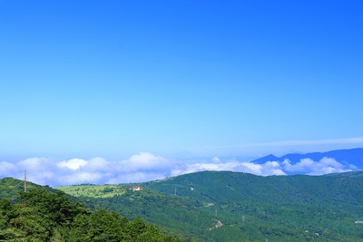 IMG_2047copy