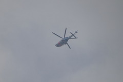 DSC02871 警視庁テロ対策 JE18MP 愛称:おおとり8