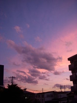 DSCN2403