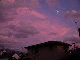 DSCN2402