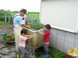 収穫4
