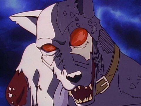 さまよえる首輪