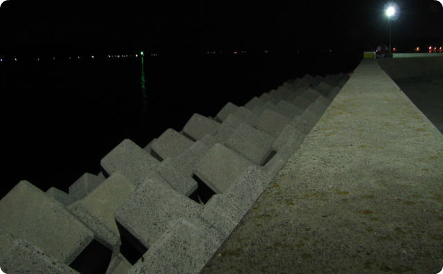 夜の海、港