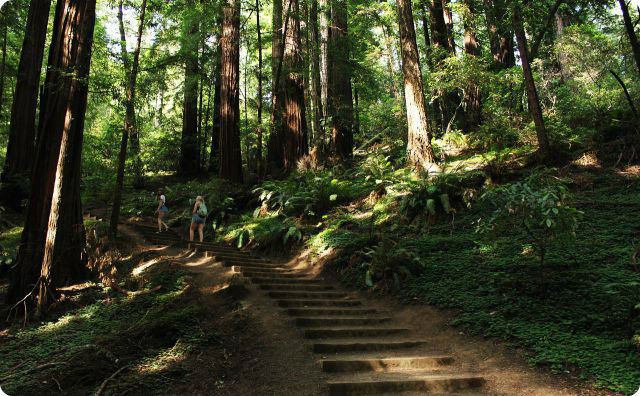 登山