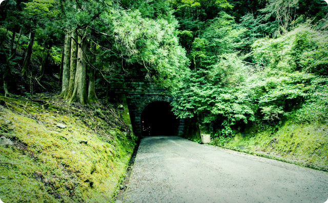 トンネル、山道