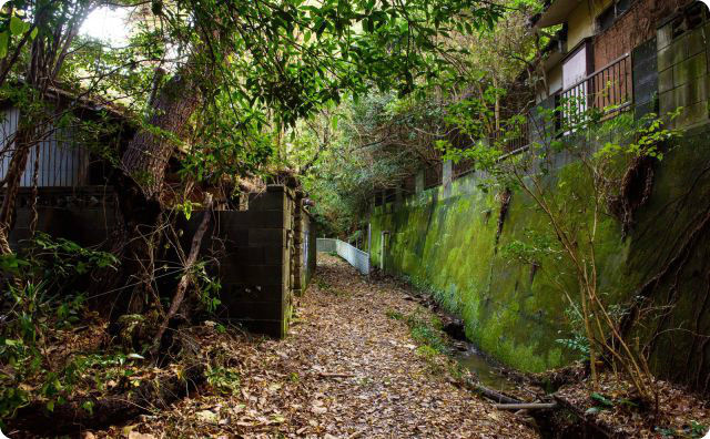 【不思議】寺から帰る途中、道に迷い謎の集落に迷いこんだ事がある←これってさぁ…