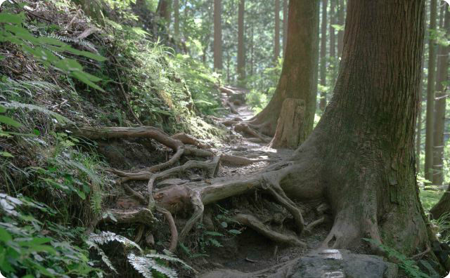 山
