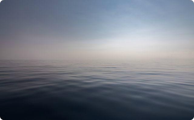 海