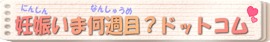 妊娠は何週目