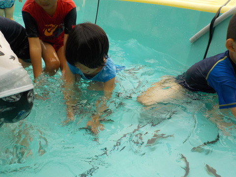 DSCN9615