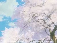 sakura