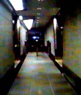 奥までずんずん 奥までずんずん