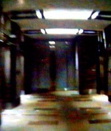 D ホール D ホール