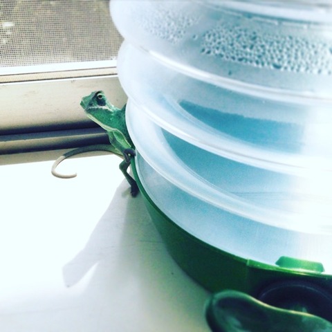 2015-09-23-12-03-55