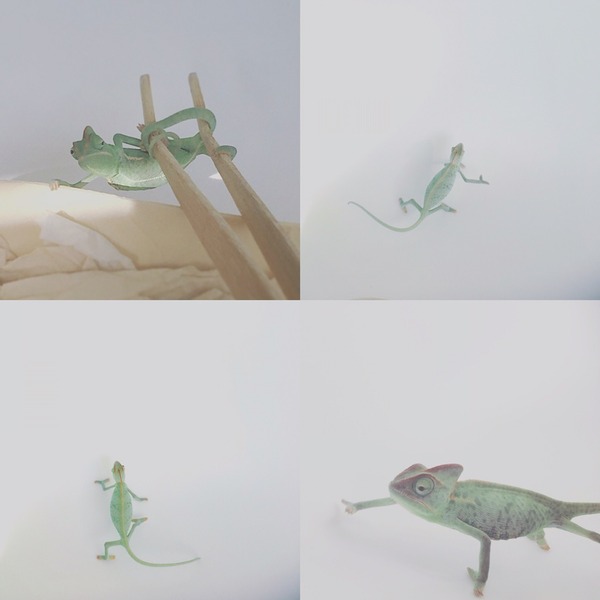 2015-12-13-14-23-50