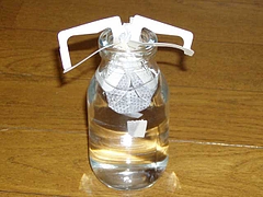 レギュラー珈琲セット