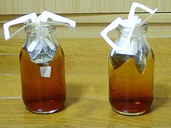 水出し珈琲比較