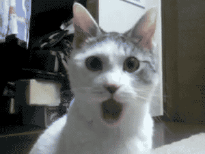 OMG