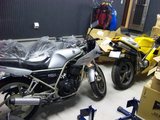 ���졼����������