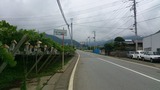 葡萄畑