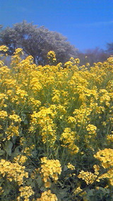 c8b7f17a.jpg