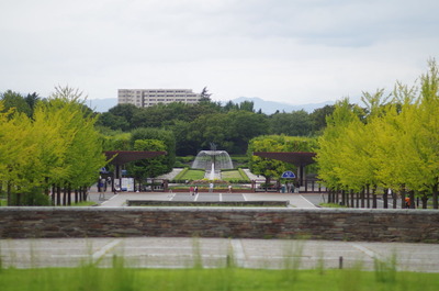 IMGP9552