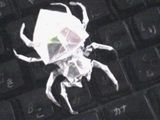 コガネグモ