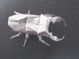 ミヤマクワガタver.2
