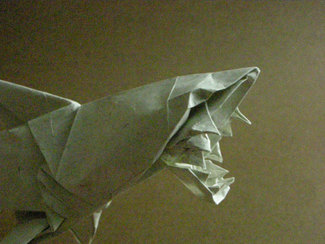 DSCN4406-2