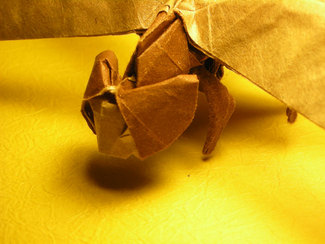 DSCN4914-2