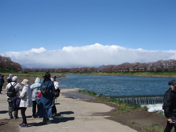 DSC00728