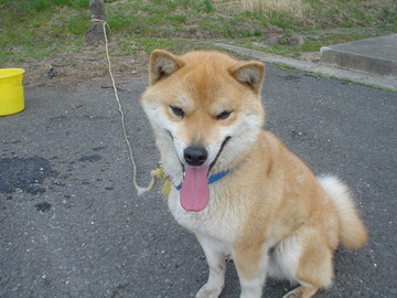 DSC06660