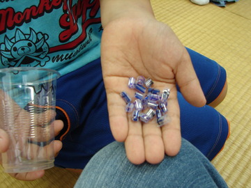 DSC00511