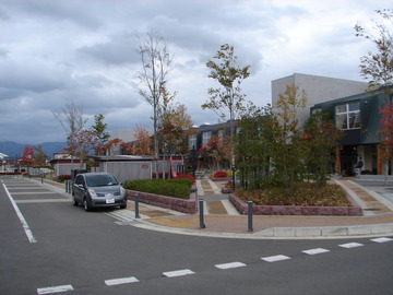 DSC00419